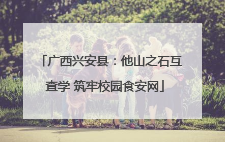 广西兴安县：他山之石互查学 筑牢校园食安网