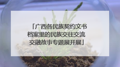 广西各民族契约文书档案里的民族交往交流交融故事专题展开展