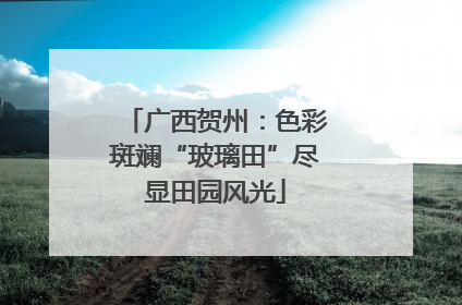 广西贺州：色彩斑斓“玻璃田”尽显田园风光