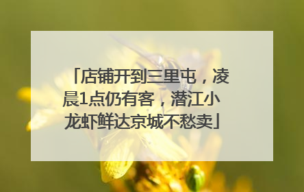 店铺开到三里屯，凌晨1点仍有客，潜江小龙虾鲜达京城不愁卖