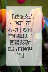 建设支点·“镇”在行动｜罗田首强镇以“四驱发动”践行首镇担当