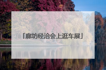 廊坊经洽会上逛车展