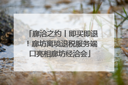 廊洽之约丨即买即退！廊坊离境退税服务端口亮相廊坊经洽会