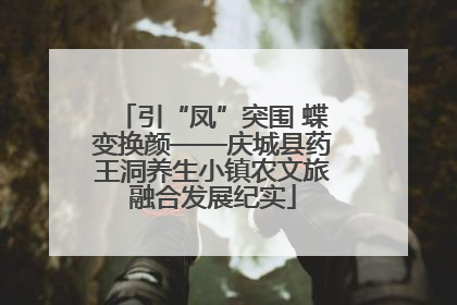 引“凤”突围 蝶变换颜——庆城县药王洞养生小镇农文旅融合发展纪实