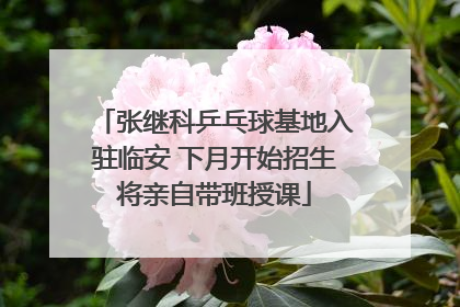 张继科乒乓球基地入驻临安 下月开始招生将亲自带班授课
