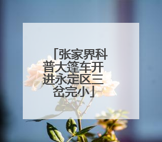 张家界科普大篷车开进永定区三岔完小