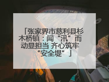 张家界市慈利县杉木桥镇：闻“汛”而动显担当 齐心筑牢“安全堤”