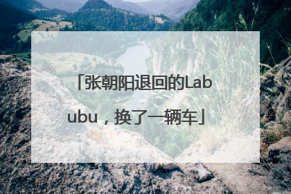 张朝阳退回的Labubu，换了一辆车
