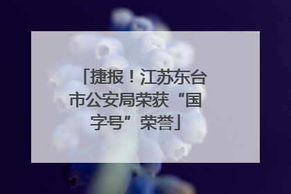 捷报！江苏东台市公安局荣获“国字号”荣誉