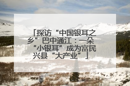 探访“中国银耳之乡”巴中通江：一朵“小银耳”成为富民兴县“大产业”
