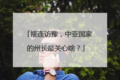 接连访豫，中亚国家的州长最关心啥？