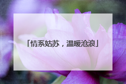 情系姑苏，温暖沧浪