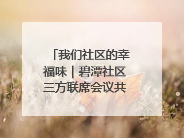 我们社区的幸福味｜碧潭社区三方联席会议共建紫岫幸福家