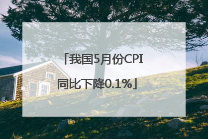 我国5月份CPI同比下降0.1%