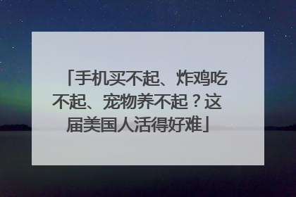 手机买不起、炸鸡吃不起、宠物养不起？这届美国人活得好难