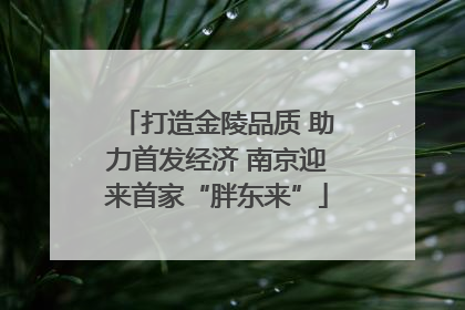 打造金陵品质 助力首发经济 南京迎来首家“胖东来”