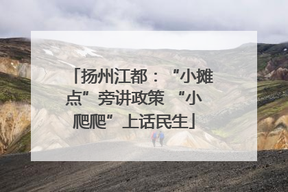 扬州江都：“小摊点”旁讲政策 “小爬爬”上话民生