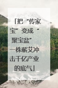 把“传家宝”变成“聚宝盆” 一株蕲艾冲击千亿产业的底气