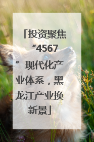 投资聚焦“4567”现代化产业体系，黑龙江产业换新景