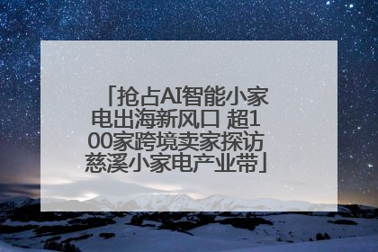 抢占AI智能小家电出海新风口 超100家跨境卖家探访慈溪小家电产业带