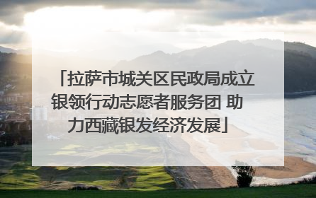 拉萨市城关区民政局成立银领行动志愿者服务团 助力西藏银发经济发展