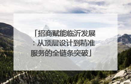 招商赋能临沂发展：从顶层设计到精准服务的全链条突破