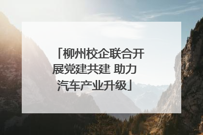 柳州校企联合开展党建共建 助力汽车产业升级