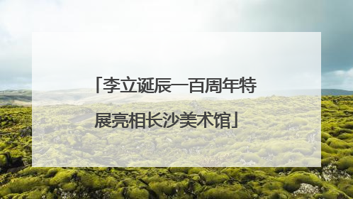 李立诞辰一百周年特展亮相长沙美术馆
