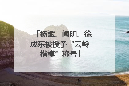杨斌、闻明、徐成东被授予“云岭楷模”称号
