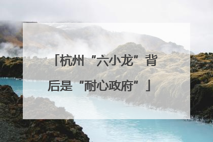 杭州“六小龙”背后是“耐心政府”