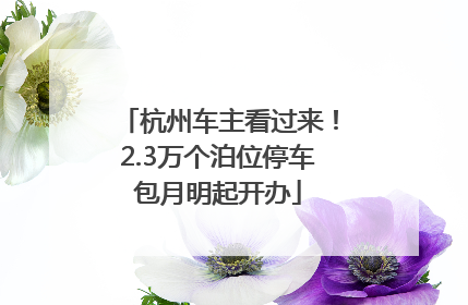 杭州车主看过来！2.3万个泊位停车包月明起开办
