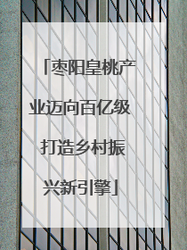 枣阳皇桃产业迈向百亿级 打造乡村振兴新引擎