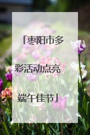 枣阳市多彩活动点亮端午佳节