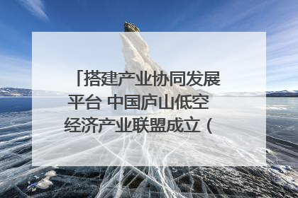 搭建产业协同发展平台 中国庐山低空经济产业联盟成立（组图｜视频）