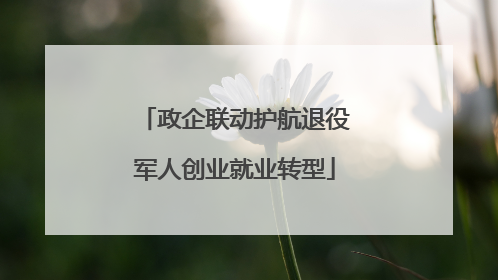 政企联动护航退役军人创业就业转型