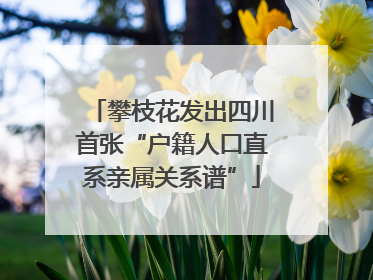 攀枝花发出四川首张“户籍人口直系亲属关系谱”
