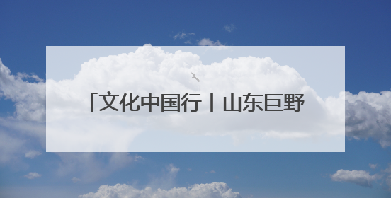 文化中国行丨山东巨野：工笔画绽放致富花