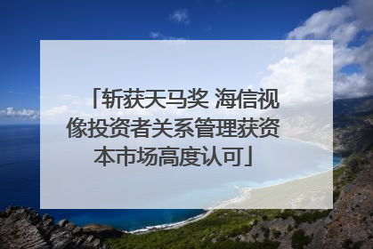 斩获天马奖 海信视像投资者关系管理获资本市场高度认可