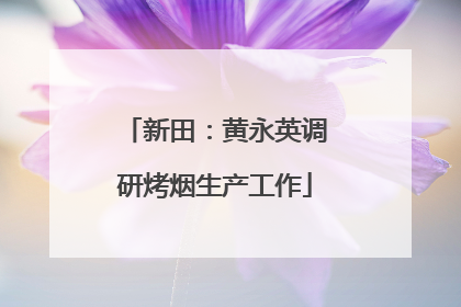 新田：黄永英调研烤烟生产工作