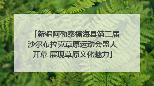 新疆阿勒泰福海县第二届沙尔布拉克草原运动会盛大开幕 展现草原文化魅力