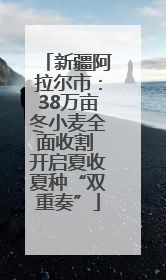新疆阿拉尔市：38万亩冬小麦全面收割 开启夏收夏种“双重奏”