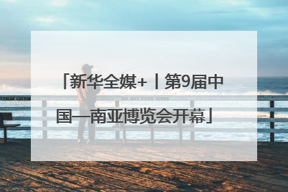 新华全媒+丨第9届中国—南亚博览会开幕