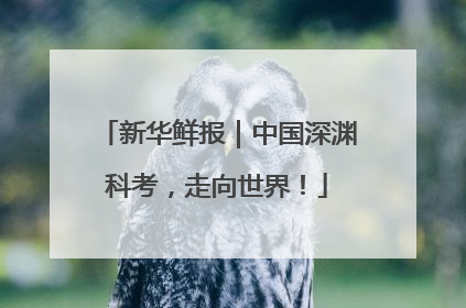 新华鲜报｜中国深渊科考，走向世界！
