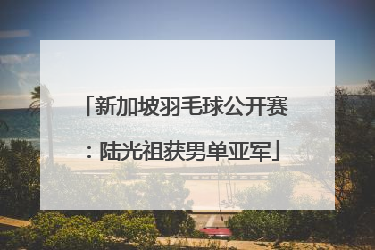 新加坡羽毛球公开赛：陆光祖获男单亚军