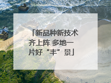 新品种新技术齐上阵 多地一片好“丰”景
