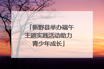 新野县举办端午主题实践活动助力青少年成长