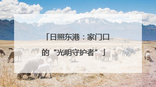 日照东港：家门口的“光明守护者”