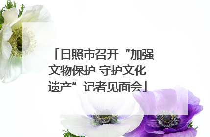 日照市召开“加强文物保护 守护文化遗产”记者见面会