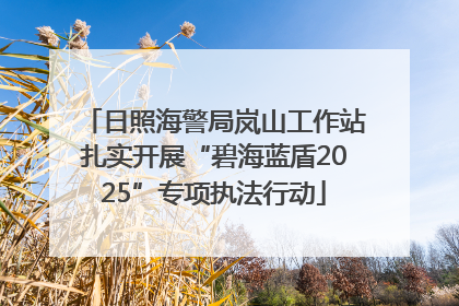 日照海警局岚山工作站扎实开展“碧海蓝盾2025”专项执法行动