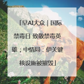 早AI大众｜国际禁毒日 致敬禁毒英雄；中情局：伊关键核设施被摧毁